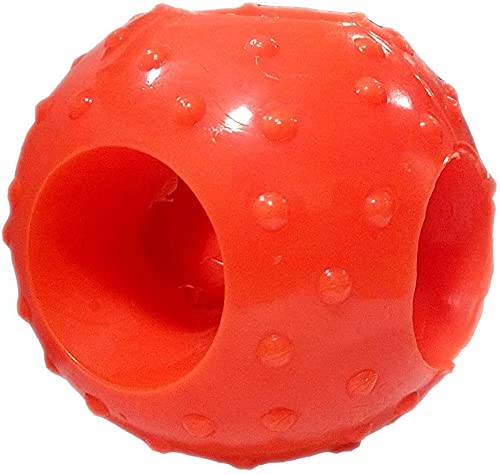 Image of Foodie Puppies Dog Rubber Chew Toy Combo (Spike Ball Toy + Hole Ball Toy) - Color May Vary