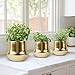 Decor Trends Gold Ceramic Planter Indoor Flower Pots Modern Decorative Large Plant Pot 7.1 inch Gold Brass Planter for All House Plants,Succulents,Flowers and Cactus