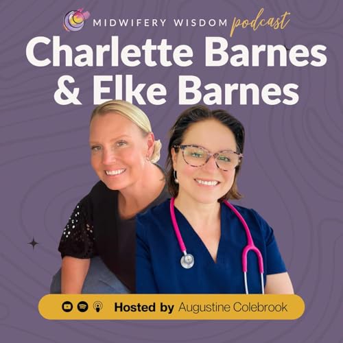 Page de couverture de Rerun: Tech for Midwives with Charlette Bright and Elke Barnes