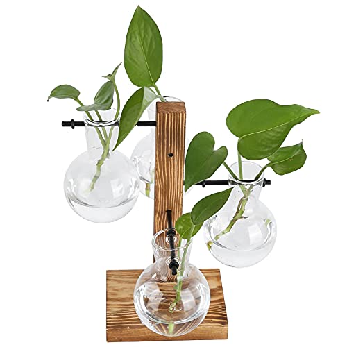 Vase hydroponique en verre avec support en bois, terrarium et station de propagation pour la maison ou le café (vase à 4 bulbes)