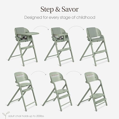 Image of Evolur Step and Savor Baby High Chair, Converts to Adult Stool, 5 Position Adjustable Height and Footrest Positions Portable High Chair, Removable Tray, Easy to Clean and Removable Cushion