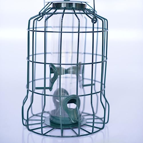 Mangeoire oiseaux de haute qualité structure robuste suspendue avec toit protecteur vert - 5