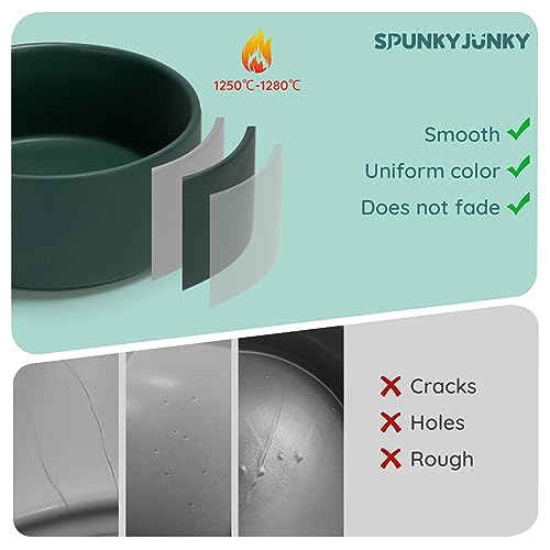 Gamelle en céramique chien et chat bol lesté vert SPUNKYJUNKY 382g - 5