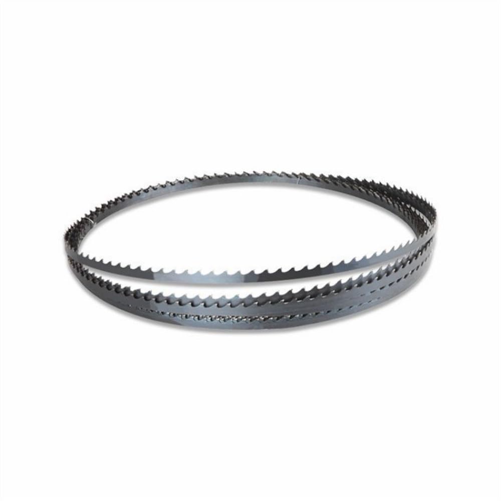6 mm 10 TPI brzeszczoty do piły taśmowej, 1/4 cala, brzeszczoty do piły taśmowej w wielu długościach do cięcia drewna, narzędzia do drewna i tworzywa sztucznego, 2 sztuki (100 3/8 x 1/4 cala)