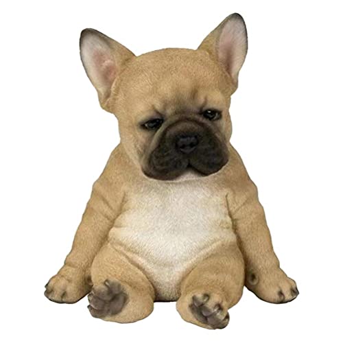 Wat als een hond piept in zijn slaap? - Happy Dog Academy