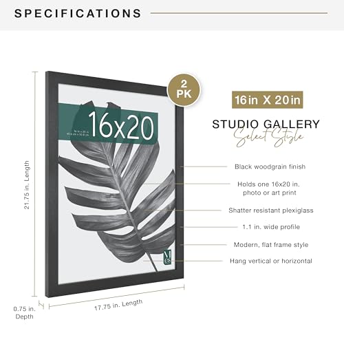 MCS Studio Gallery 16x20 Poster Frame Black Woodgrain, Vertical & Horizontal Wall Hanging Large Picture Frame for Photos, Posters & Art Prints (2-Pack)