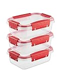 Ganter & May® Butterfly - Frischhaltedosen Mit Deckel, Vorratsdosen Set 3 x 0,5 liter, 100% dicht & auslaufsicher, -40 bis +100 Grad, BPA frei Kunststoff, Aufbewahrung für Lebensmittel, Stapelbar