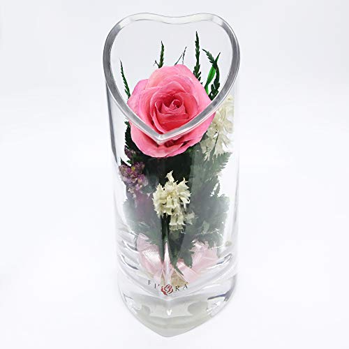 Fiora Flower | Long Lasting Roses in a Sealed Glass Vase | Fresh Cut Preserved Roses | Unique Present Gift (Heart-Shaped)