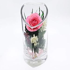 Fiora Flower | Long Lasting Roses in a Sealed Glass Vase | Fresh Cut Roses – Preserved Roses| Unique Present Gift (Heart-Shaped)