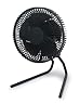 [予約必須] シロカ ANDON FAN SF-PC171(GD) [ダークグリーン]