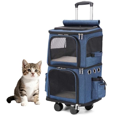 Gyrophoric LX^[t ybgL[ bN ybgL[obN 2C L 2i ybg lR  g[obO e ʋC s/ʉ@/ʋ@/ЊQp(Blue)