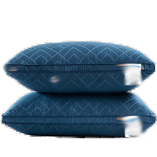 Oreillers luxueux en velours de plumes Feng Shui pour un confort hôtelier de premier choix