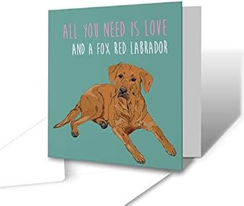 All You Need Is Love Fox Red Labrador Square Greeting Card Amazon Co Uk Stationery Office Supplies