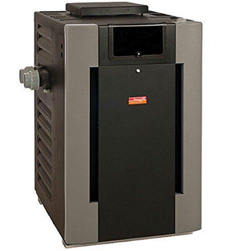 Raypak 014938 206000 BTU Digital Natural Gas Pool Heater with Cupro Nickel