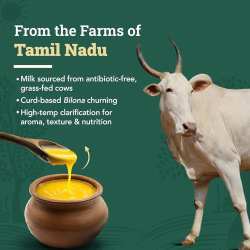 Anveshan A2 Desi Cow Ghee (500ml x 2 Jars) | Traditionally Bilona-Churned, Danedar Ghee | Aromatic| NABL Lab Tested (70+ tests), Cruelty-Free | Grass-Fed | Glass Jar