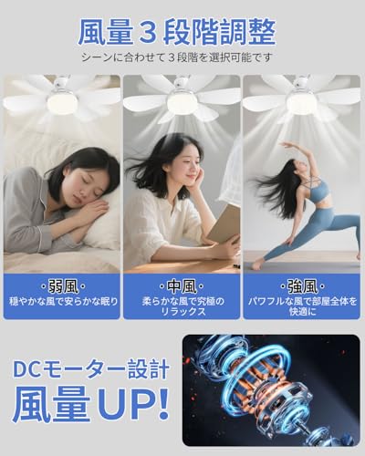 Alcides シーリングファンライト ZPDLFSD002 の商品画像 4