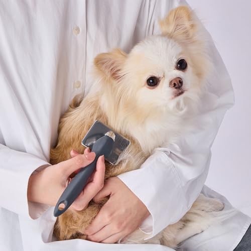 二重毛対応 柴犬ブラシセット(スリッカー&ピン)