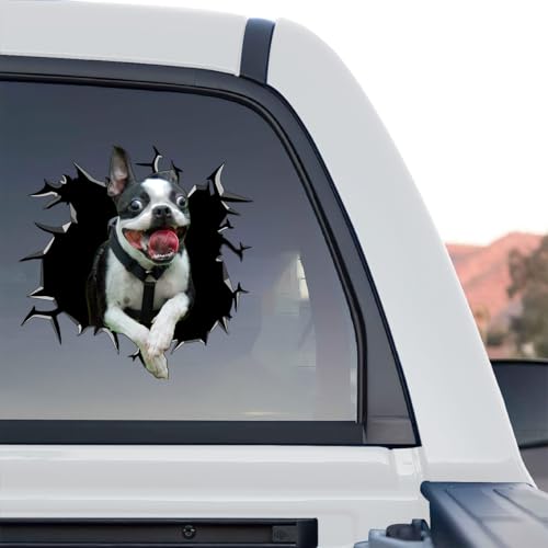 Image of Vinyl Dog Sticker Car Decal, Boston Terrier | For Women, Dog Lover Gift