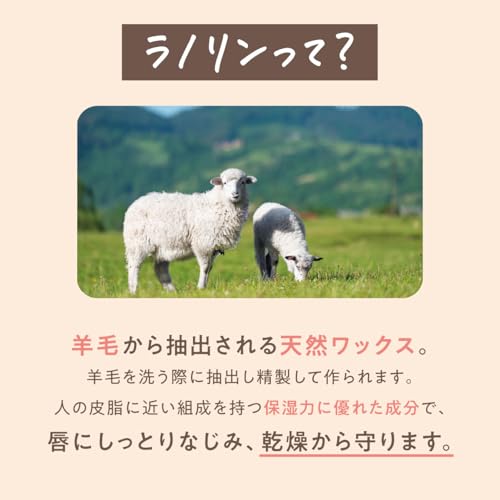 daily delight(デイリーディライト) リップバーム グレープフルーツゼリー 10g の商品画像 3