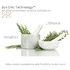 GIOVANNI ECO CHIC 50:50 Balanced Hydrating Clarifying Shampoo - Leaves Hair pH Balanced for Over-Processed Hair, Provides Moisture & Protection, Salon Quality, No Parabens, Color Safe - 8.5 oz