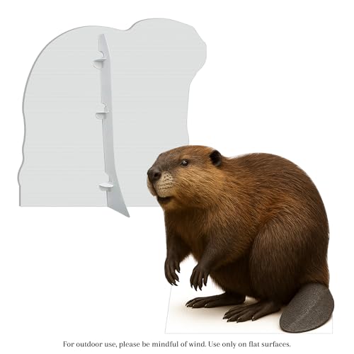 Image of Beaver 2FT Life Size Cardboard Cutout - A Fun Animal Standup for Photo Booths, Birthday Parties, and Events