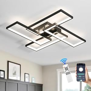 Modern LED Ceiling Light, kitchen light fixtures, Square LED Flush Mount Ceiling Light, APP and Remote Control Dimming with Memory 3000K-6500K for Dining Room, Living Room, Bedroom, Office (Black)