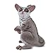 Safari Ltd. Bush Baby (Galagos) Figurine - Detailed 3.5