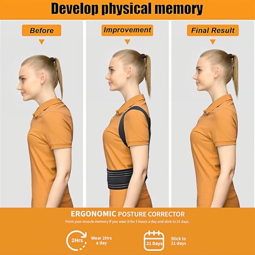 Aollop Posture Corrector Men and Women - Back Brace Back Support Belt with Breathable Adjustable Elastic Bands Back Straightener Improve Lumbar Support Belt Lower Back Pain Relief (S, Waist 27'-34') - Image 4