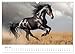 Wild Manes: A Year with Horses (Wall Calendar 2026 DIN A3 Landscape), CALVENDO Monthly Calendar: Natural Elegance and Vitality of Horses in Natural Environment