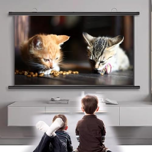 Pantalla Manual 4:3, 16:9 para Proyector 60" miniatura 5