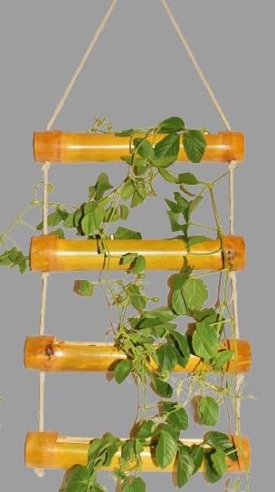 See full amazon price history chart for WATIKA CRAFT Wall Hanging Bamboo pots for Plants, Natural Bamboo Planter. Hanging pots for Plants Indoor, Hanging pots for Plants Balcony (4 Step Step Planter) WATIKA CRAFT Wall Hanging Bamboo pots for Plants, Natural Bamboo Planter. Hanging pots for Plants Indoor, Hanging pots for Plants Balcony (4 Step Step Planter) (B0C4KSL8J7) Amazon Price History, Amazon Price Tracker