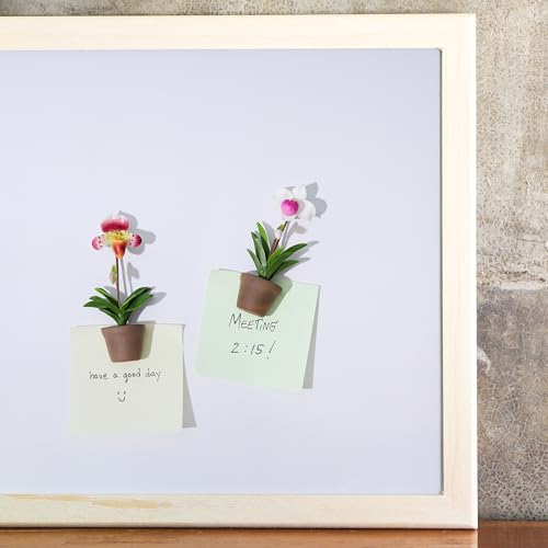 Set de 2 imanes decorativos orquídea Paphiopedilum 3D miniatura 3