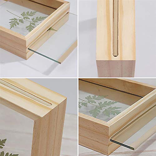 Image of Desi Rang Wooden Frame for Wall Decor, Table top, Any Plant Leaf, Picture, Photo, DIY, Gift, Home Office Shape (8x12 inch, Rectangular)