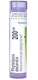 Boiron Phytolacca Decandra 200ck, Homeopathic Medicine for Sore Throat