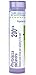 Boiron Phytolacca Decandra 200CK, 80 Pellets, Homeopathic Medicine for Sore Throat