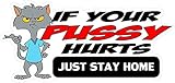 Boston Decal Works 3 Pack 3'x 1' - If Your Pussy Hurts Just Stay Home Sticker Helmet/Hard...