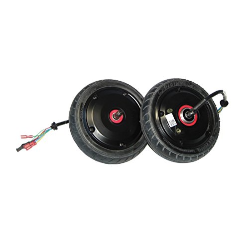 Jdbug Unisex - Adulto Motor 3096052116, Negro, Talla Única