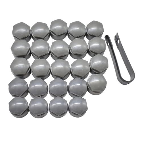 LZZYFPX Tapas Protectoras for Tuercas de Rueda de Coche de 24 x 25 mm, Pernos de neumáticos, decoración Exterior, espárragos y tapacubos.(Grey)