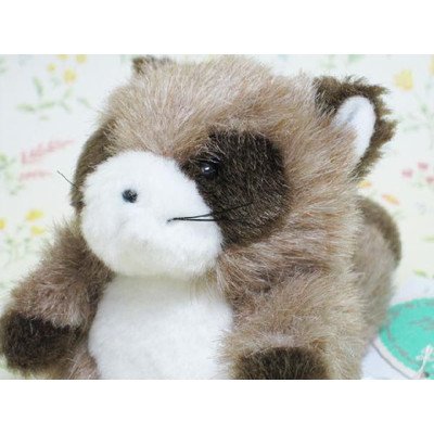 Amazon.co.jp: たけのこ プチプチらんど森のなかま タヌキ ぬいぐるみ