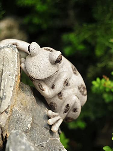 Simulation animale grenouille décorative pour cour et muret extérieur - 5