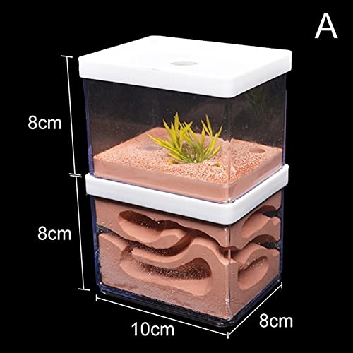Formicai per Bambini Grande Intonaco Ant Farm