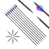 PHILOCS 6pc 29-Inch Spine-800 Arrow Removable Tips Targeting...