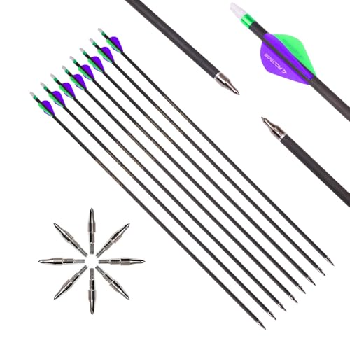 PHILOCS 6pc 25-Inch Spine-800 Arrow Removable Tips Targeting Hunting Arrow Plastic Fletching 2 Inch Vane Carbon Arrows for Compound Bow Recurve Bow Adult Youth Archery Purple Green