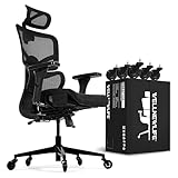 WELLNEWLIFE Prestige Ergonomic Office Chair Adjustable Lumbar Support and Seat Depth, Mesh Office...