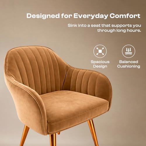 Image of Vergo Plush Velvet Dining Chair, Cushion Seat, Wooden Frame, Metal Legs, Premium Accent Chair for Living Room, Bedroom, Dining Room, Cafe & Restaurant (Set of 4, Light Brown)