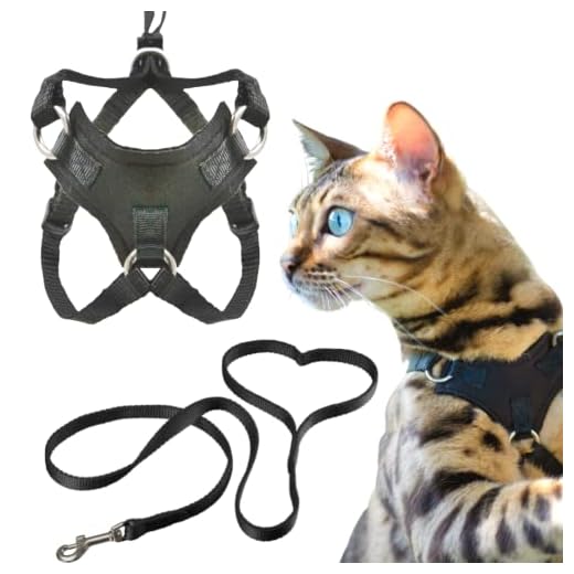 Escape-Proof Cat Harness and Leash Set