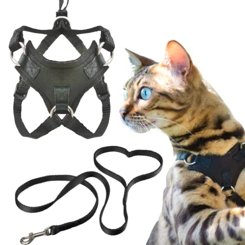 7 EscapeProof Maine Coon Harnesses