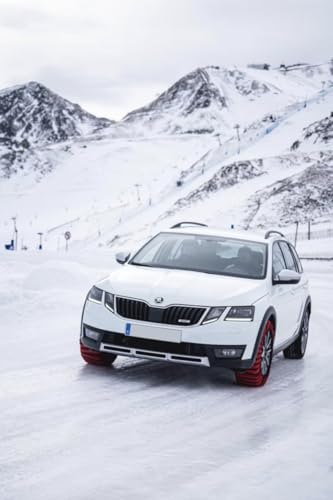 ISSE Classic Tire Snow Socks