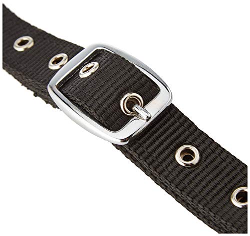 Kerbl 323599 Ausbindezügel, schwarz, Größe Pony, 2 Stücke