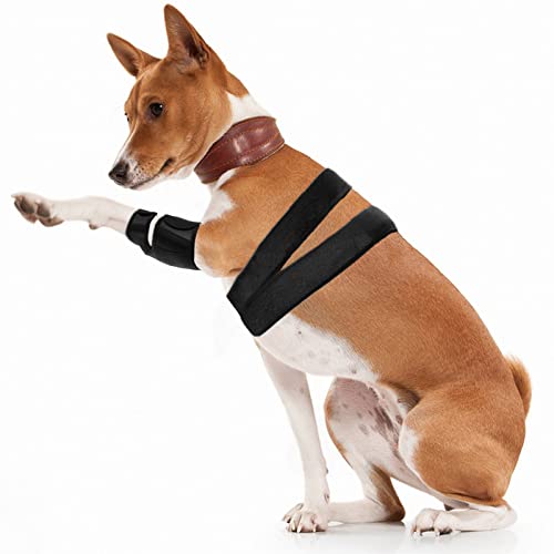 Image of Dog Knee Brace for Support Cruciate Ligament Injury, Joint Pain And Muscle Sore, Dog Leg Brace for ACL Support, Reduces Pain and Inflammation, Adjustable Pet Brace with 10 Side Stabilizers (L)